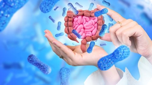 I Fermenti Lattici Migliori per l’Estate e i Viaggi
