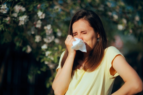 Rinite Allergica: I Rimedi da Banco per un Sollievo Immediato