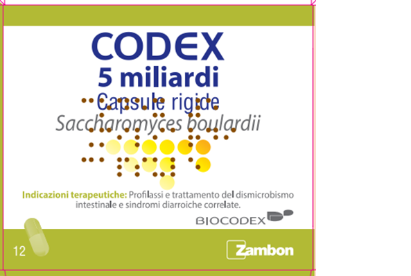 CODEX*12CPS 5MLD 250MG - farmaciabianca.it