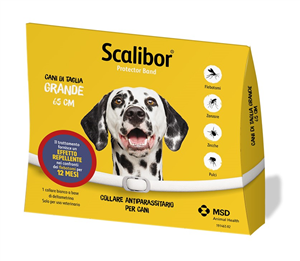 SCALIBOR PROTECTOR BAND*BI65CM - farmaciabianca.it
