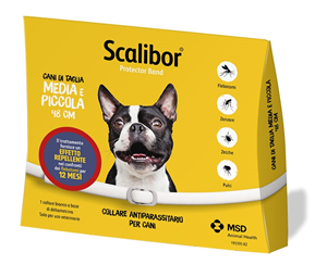 SCALIBOR PROTECTOR BAND*BI48CM - farmaciabianca.it