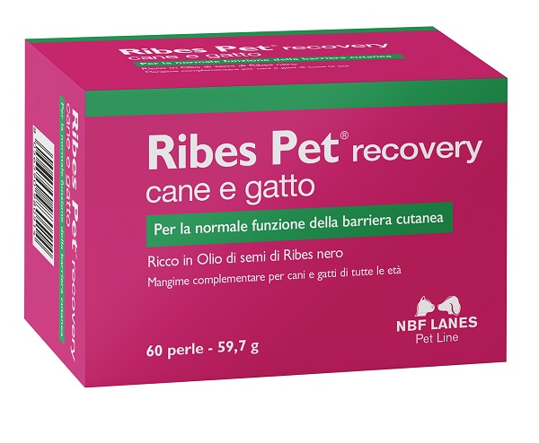RIBES PET RECOVERY BLISTER 60 PERLE - farmaciabianca.it