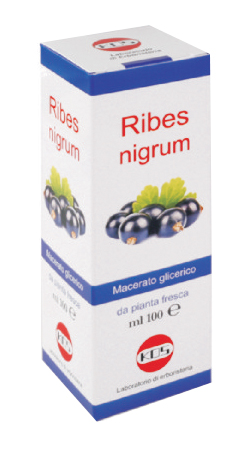 RIBES NIGRUM MACERATO GLICERICO 100 ML GOCCE - farmaciabianca.it