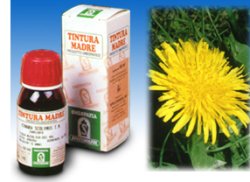 TARASSACO 28 50ML TM - farmaciabianca.it