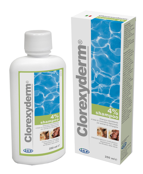 CLOREXYDERM SHAMPOO 4% 250 ML - farmaciabianca.it