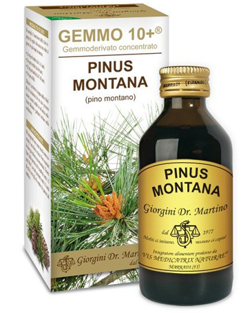 GEMMO 10+ PINO MONTANO 100 ML LIQUIDO ANALCOLICO - farmaciabianca.it