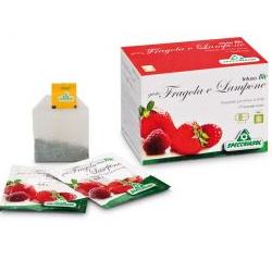 INFUSO BIO FRAGOLA E LAMPONE 20 FILTRI - farmaciabianca.it