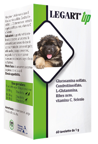 LEGART UP 60 COMPRESSE DA 1 G - farmaciabianca.it
