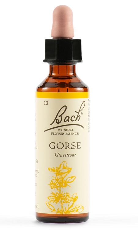 GORSE BACH ORIG 20 ML - farmaciabianca.it